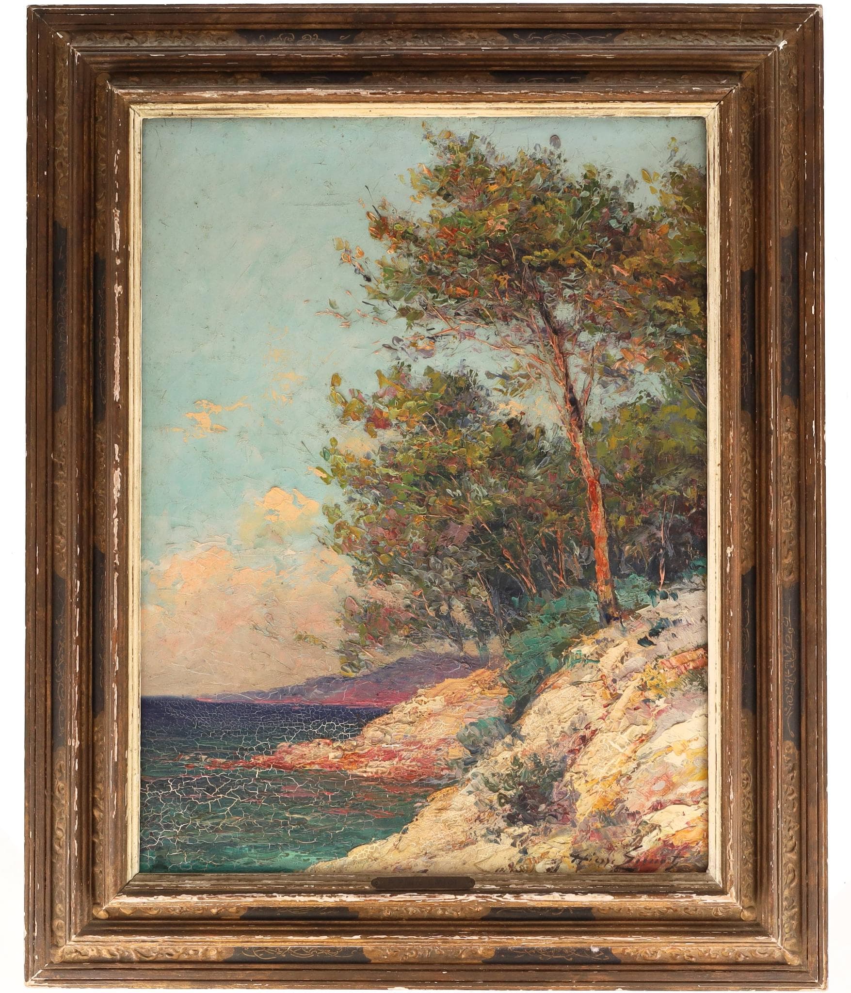 Paysage maritime avec arbres sur rochers